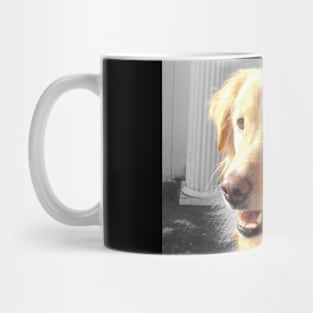 Golden Retrievers are the Best Mug